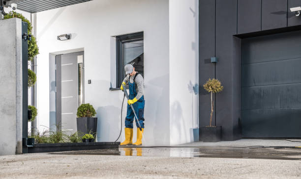 Best Soft Washing  in San Marcos, CA